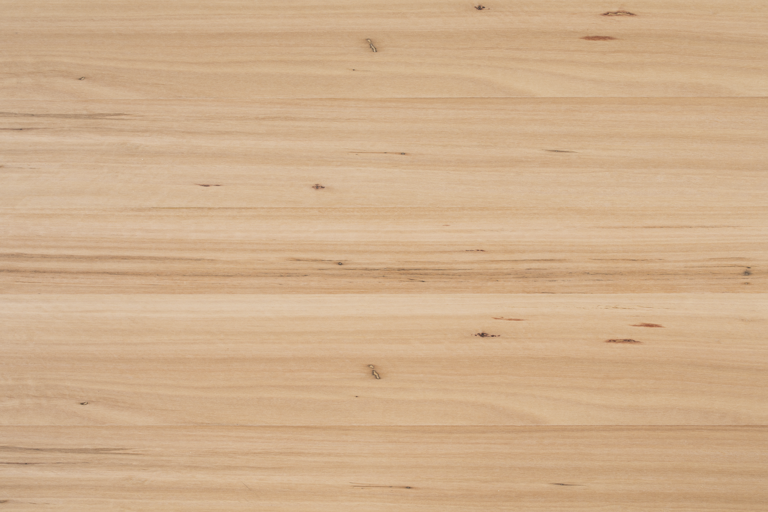 Feature Grade Blackbutt