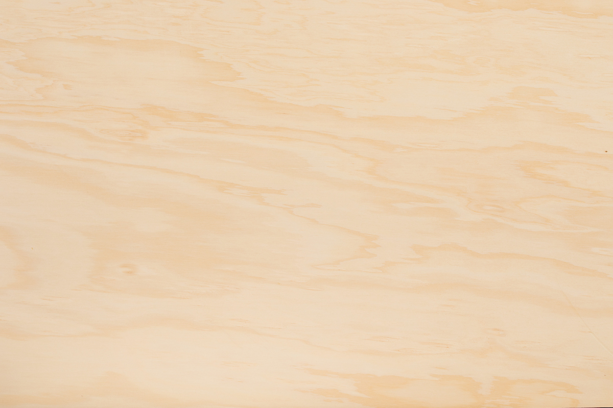 Austral Araucaria Ply